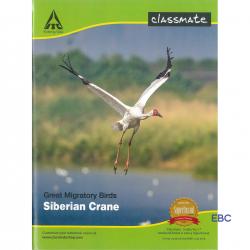 Classmate Notebook Single Line Interleaf  (24×18cm)   172 Pages